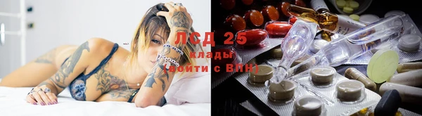 прущая мука Дмитров