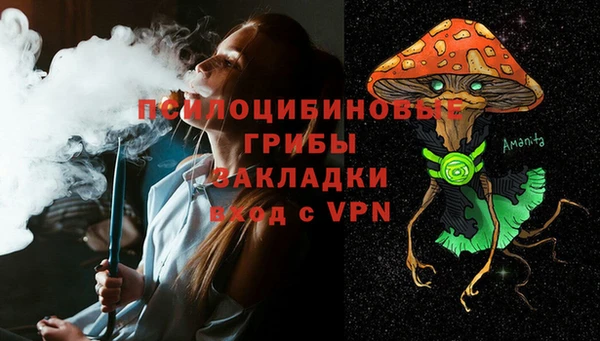 прущая мука Дмитров