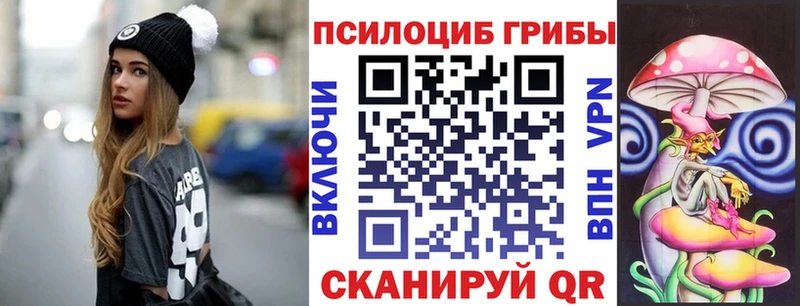 mega онион  Заринск  Псилоцибиновые грибы ЛСД 